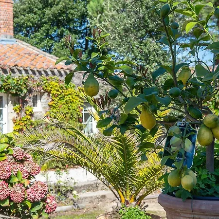 Holiday home Petite Robliniere 10min